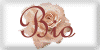 bio.gif (2291 bytes)