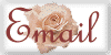 email.gif (2442 bytes)